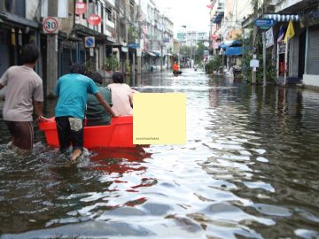 Flood