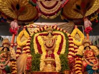 Papmochni Ekadashi 2026